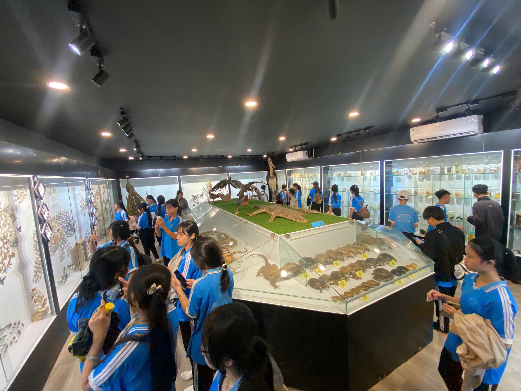 557621896 1399877022146116 6254890108738012532 n