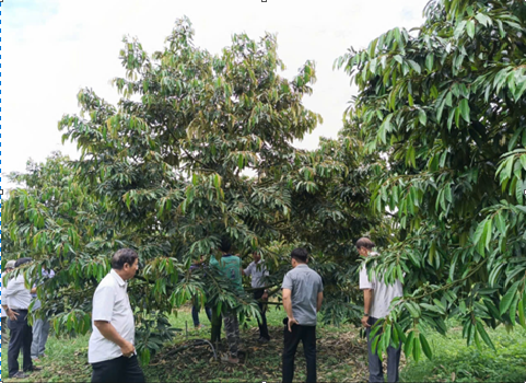 screenshot 1759910169