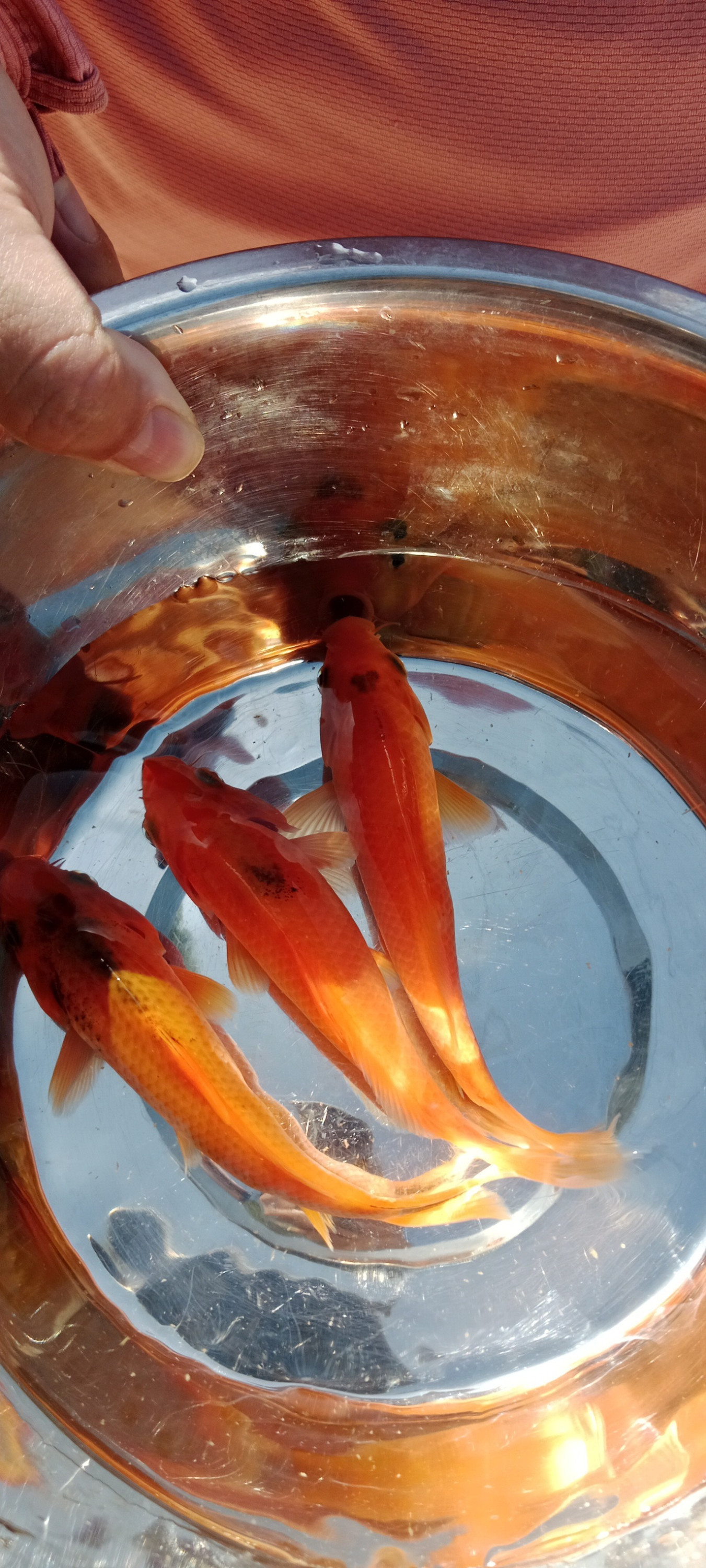 631192572 122150050724961899 5156214447177501301 n